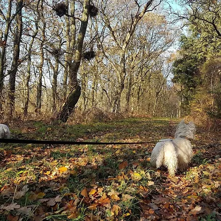 Σπίτι διακοπών 8 Person In Toftlund-by Traum Toftlund