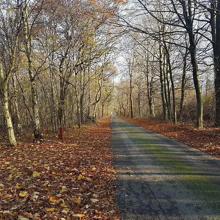 Holiday home 8 Person In Toftlund-by Traum Toftlund