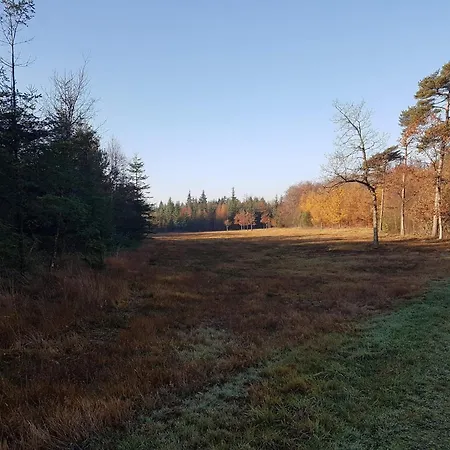 8 Person In Toftlund-by Traum