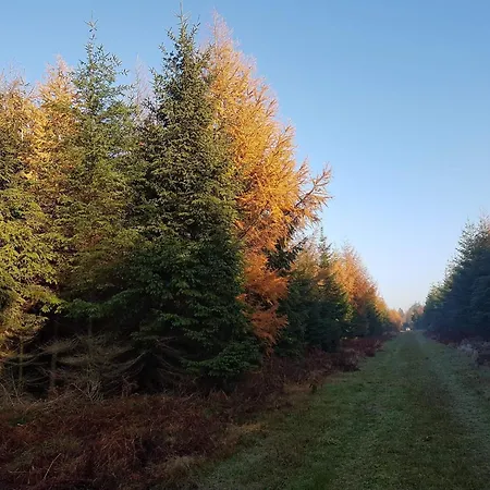 8 Person In Toftlund-by Traum Holiday home *