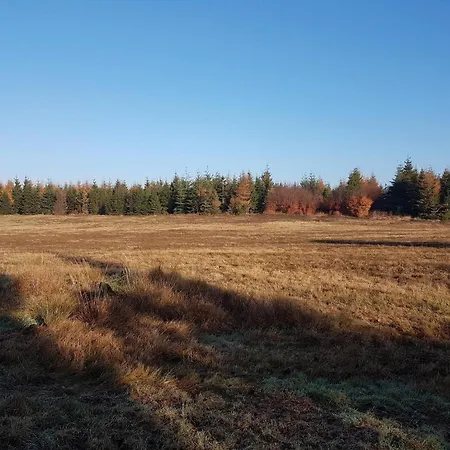 8 Person In Toftlund-by Traum *