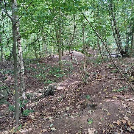 Σπίτι διακοπών 8 Person In Toftlund-by Traum Toftlund