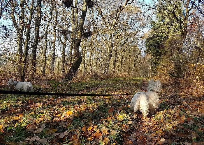 Nyaraló 8 Person In Toftlund-by Traum Toftlund