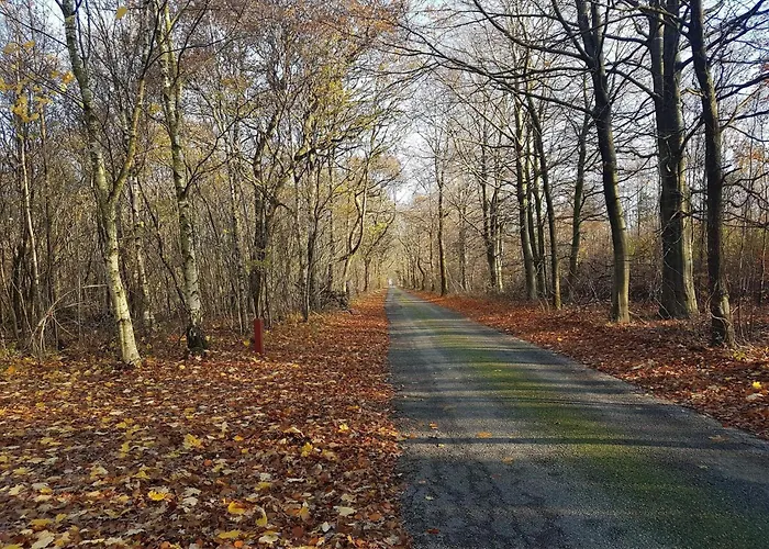 Nyaraló 8 Person In Toftlund-by Traum Toftlund