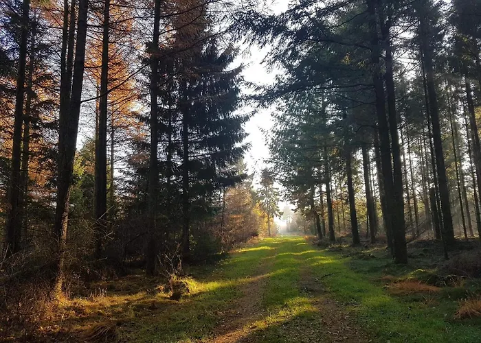 8 Person In Toftlund-by Traum Nyaraló *