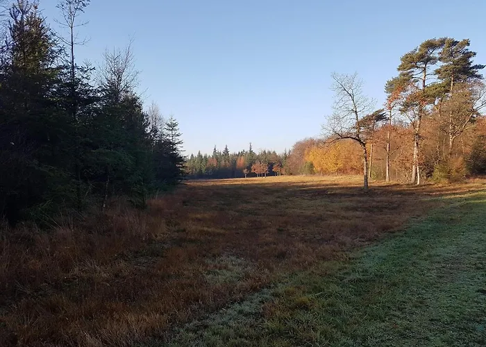 8 Person In Toftlund-by Traum