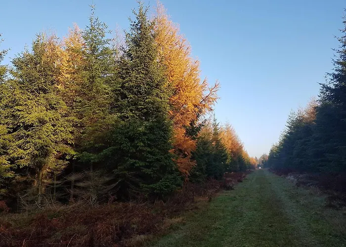 8 Person In Toftlund-by Traum Nyaraló *