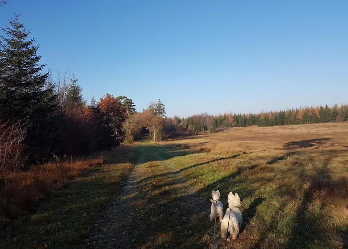 8 Person In Toftlund-by Traum Nyaraló *