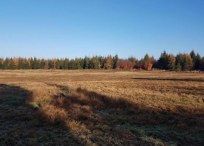 8 Person In Toftlund-by Traum *