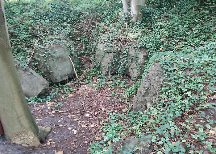 8 Person In Toftlund-by Traum * Toftlund