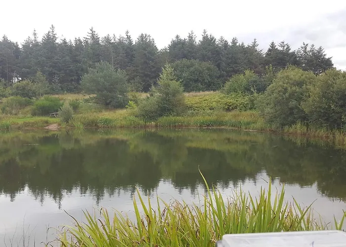 8 Person In Toftlund-by Traum Toftlund